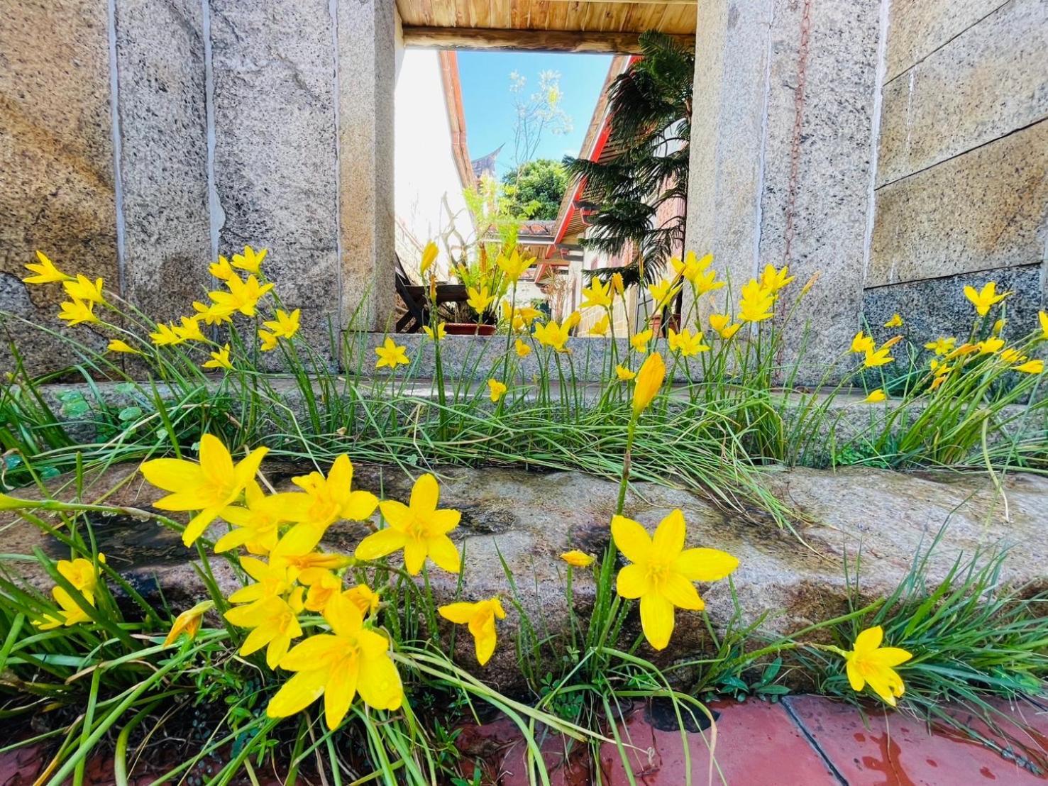 Grace Homestay 진청 외부 사진